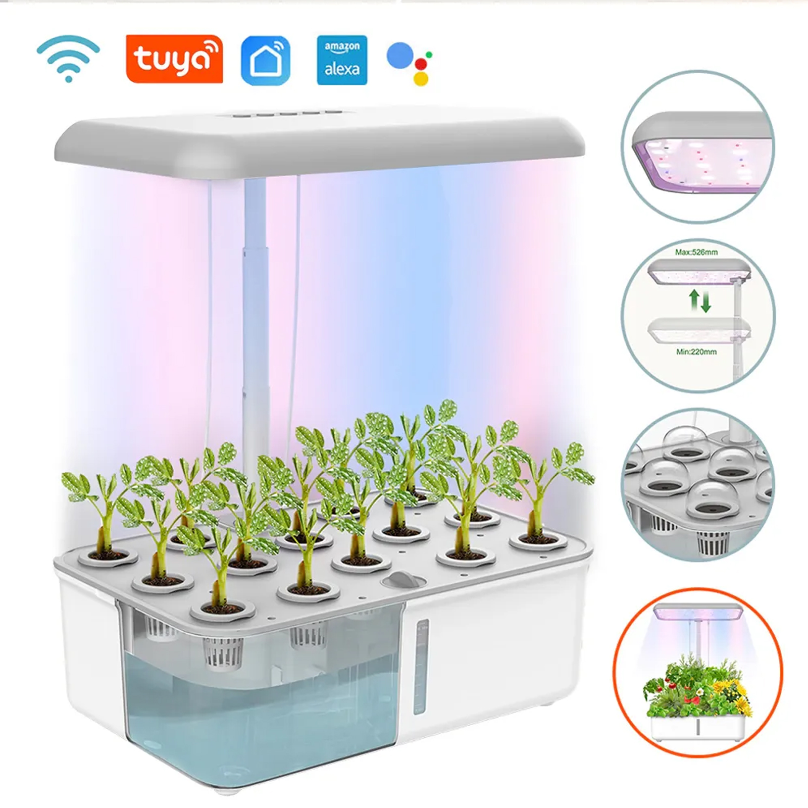 Tuya WiFi Plant Hydroponics Sy - Smart Garden Click And Grow avaliação e preço