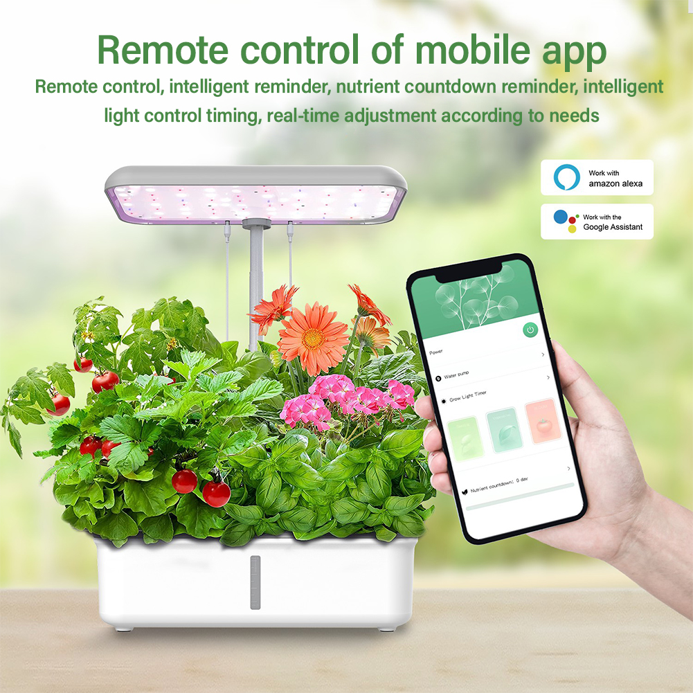 Tuya WiFi Plant Hydroponics Sy - Smart Garden Click And Grow avaliação e preço