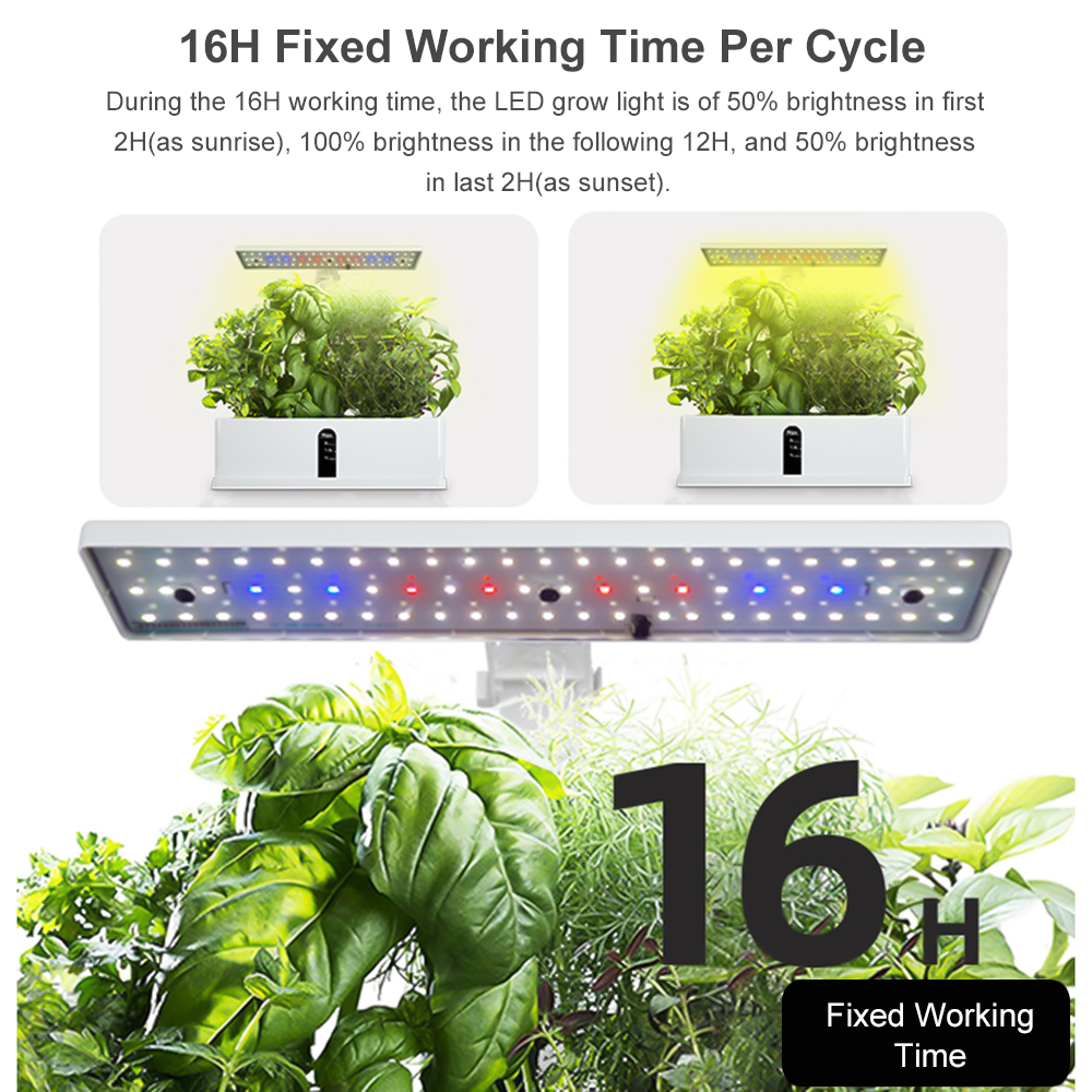 Smart Hydroponics Growing Syst - Smart Garden Click And Grow avaliação e preço